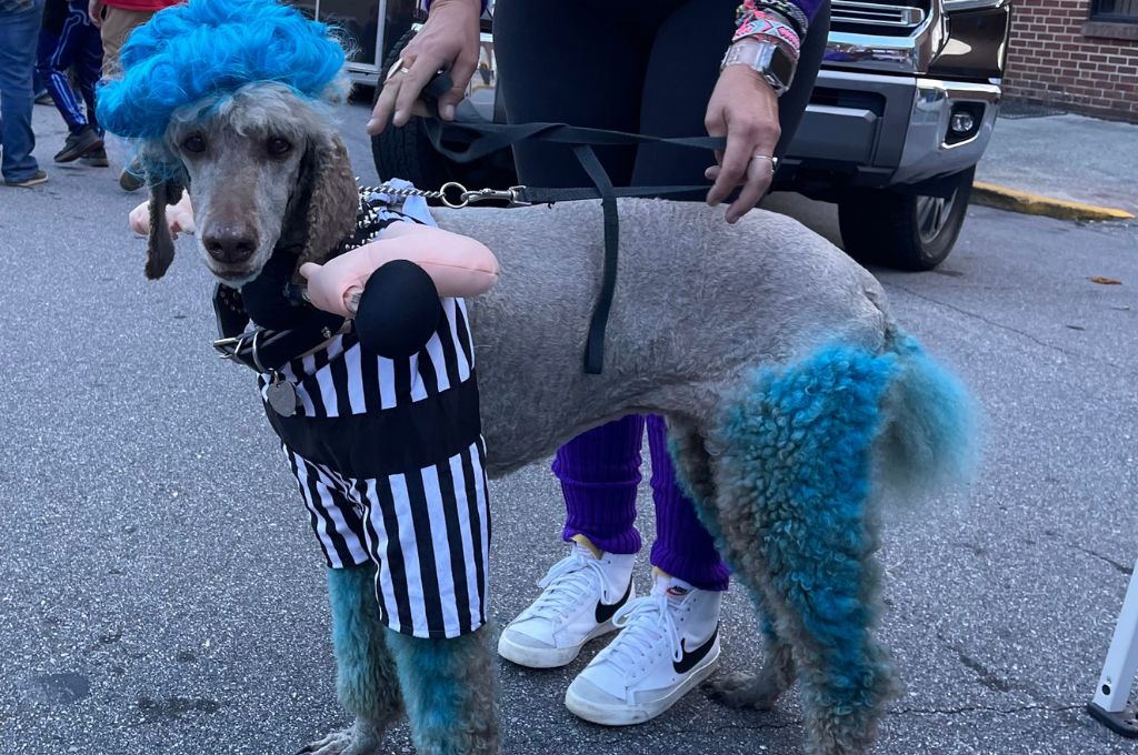 Scenes from 2024 Spooktacular in historic downtown North Wilkesboro, NC. sponsored by the Downtown North Wilkesboro Merchant Association